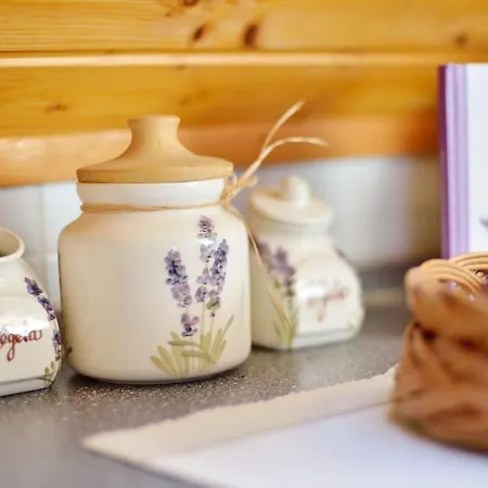 Levendula Vendeghaz * Lovas