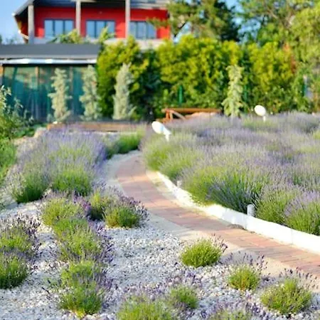 Levendula Vendeghaz Villa *