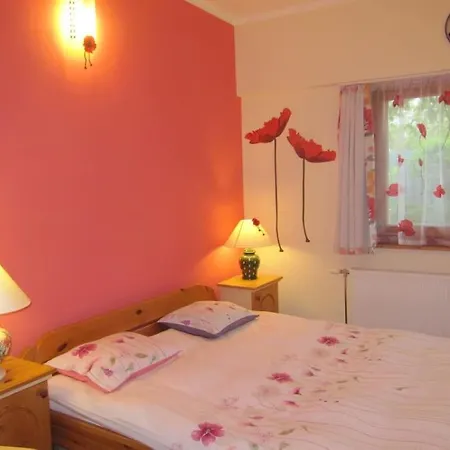 Levendula Vendeghaz Villa