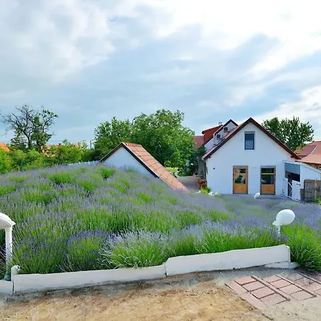 Levendula Vendeghaz Villa Lovas