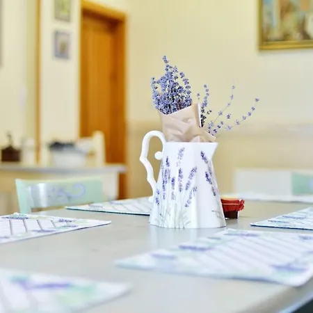 Levendula Vendeghaz Villa