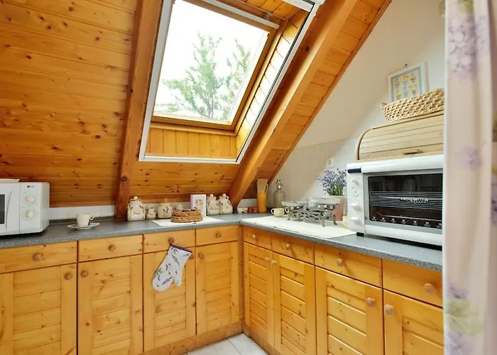 Levendula Vendeghaz *