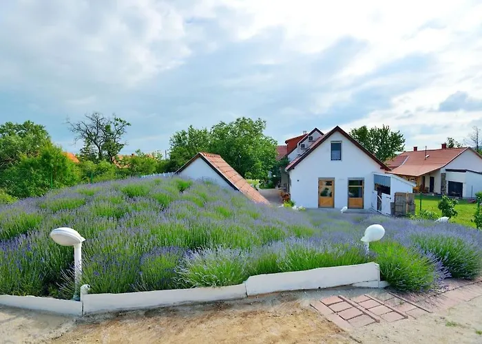 Levendula Villa Lovas